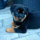 De 2de dag dat we onze kleine man Boy bij ons hebben wonen.