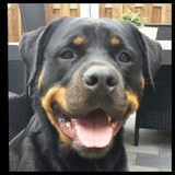 Onze Kaya.