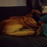 Foto van Tinaa.