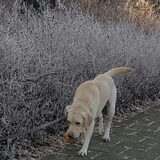 Foto van esther