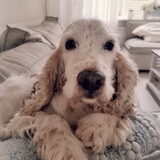 Foto van esther