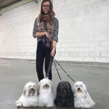 Foto van Xtine