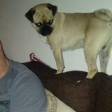 Foto van Nori met Chewy, Ayla, Leiah & Mace