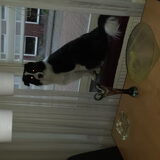 Foto van carla en Buddy