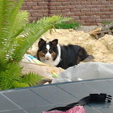 Foto van Paulien