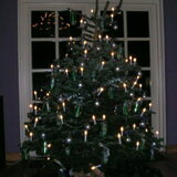 Foto van laura   Diva&Nova