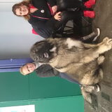 Kaukaas
