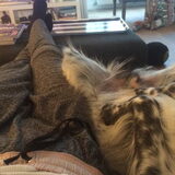 Foto van Doortje & Tibbe