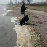 Foto van sylvia