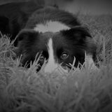 Hide and seek