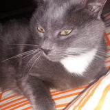 Foto van Jeanine :)
