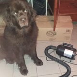 Foto van Jeanine :)