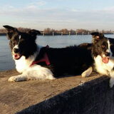 Foto van Lise met Ruby, Naïn & Qalvin