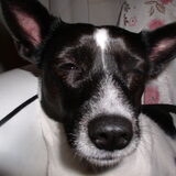 Foto van Lilly