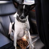 Foto van Lilly