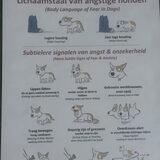 Foto van Esther