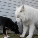 Foto van Team Black & White