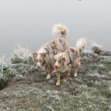 Foto van Danielle, Kyra*Kaylin*, Djaira en Djaidey