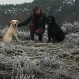 Foto van sylvia