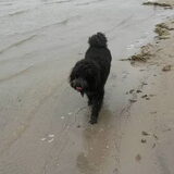 Foto van sylvia