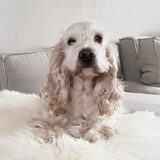 Foto van esther
