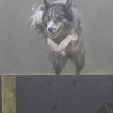 Foto van Lisa; Bobbie, Bentley & Lilly