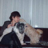 Foto van liesbeth,Turbo,Luna, Levi en Faith