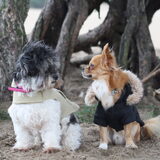 Foto van Lisa; Bobbie, Bentley & Lilly