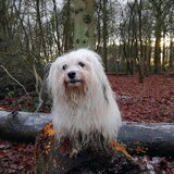 Foto van Xtine