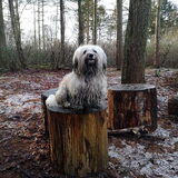 Foto van Xtine