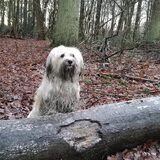 Foto van Xtine