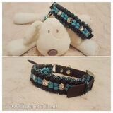 Halsband met pootjes voor een Jack Russell terriër
