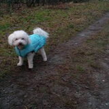 Foto van sylvia