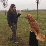 Foto van Luan en Lenne
