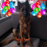 Foto van Jeanine :)