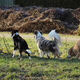 Samen op wacht...