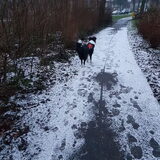 Foto van Lucia, Lizzy & Ziva