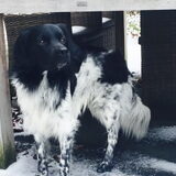 Foto van Doortje & Tibbe