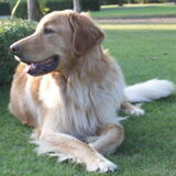 Foto van L&R