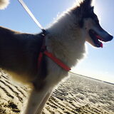 Foto van Debbie en Cita