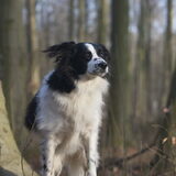 Foto van Angelique; Bruno, Charlie & Fenna