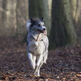 Foto van Angelique; Bruno, Charlie & Fenna
