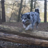 Foto van Angelique; Bruno, Charlie & Fenna
