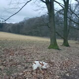 Foto van esther