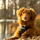 Foto van judith