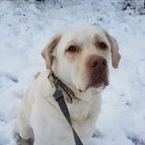 Foto van esther