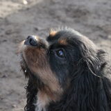 Foto: Marianne Wippert
