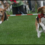 Flor en Lotte in de mood voor de Beaglerace