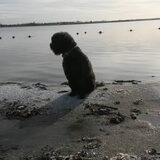 Foto van sylvia