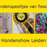 Foto van Sigrid, Sandy, Diva & Nala